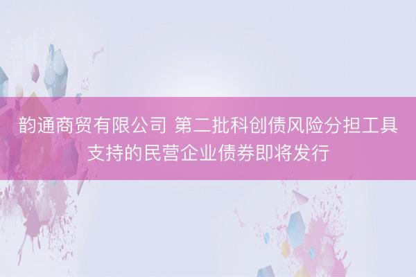 韵通商贸有限公司 第二批科创债风险分担工具支持的民营企业债券即将发行