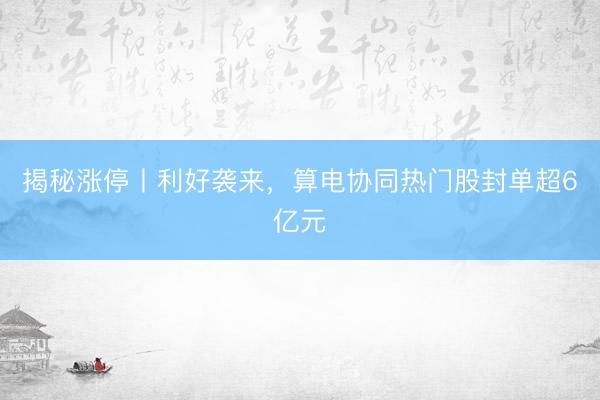 揭秘涨停丨利好袭来，算电协同热门股封单超6亿元