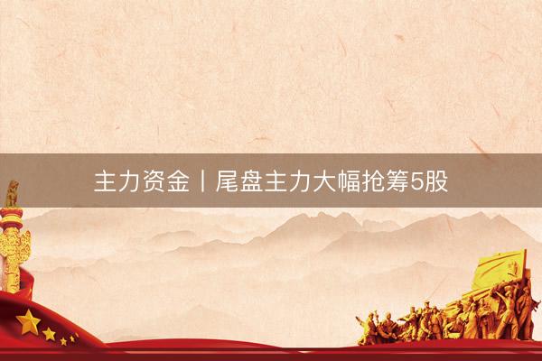 主力资金丨尾盘主力大幅抢筹5股