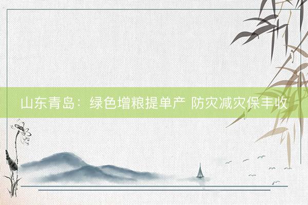 山东青岛：绿色增粮提单产 防灾减灾保丰收