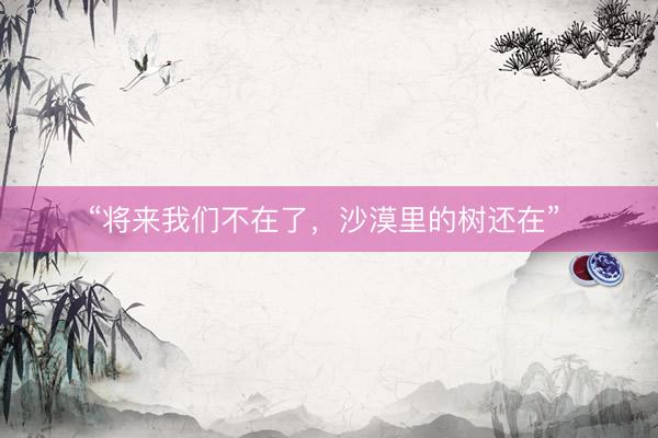 “将来我们不在了，沙漠里的树还在” 