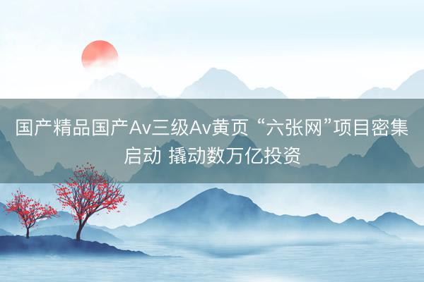 国产精品国产Av三级Av黄页 “六张网”项目密集启动 撬动数万亿投资
