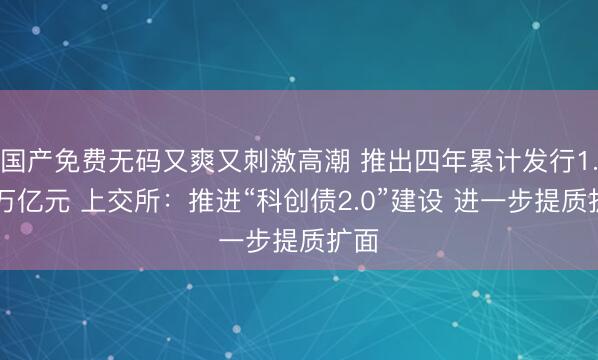 国产免费无码又爽又刺激高潮 推出四年累计发行1.99万亿元 上交所：推进“科创债2.0”建设 进一步提质扩面