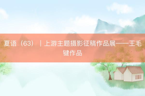 夏语（63）｜上游主题摄影征稿作品展——王毛键作品