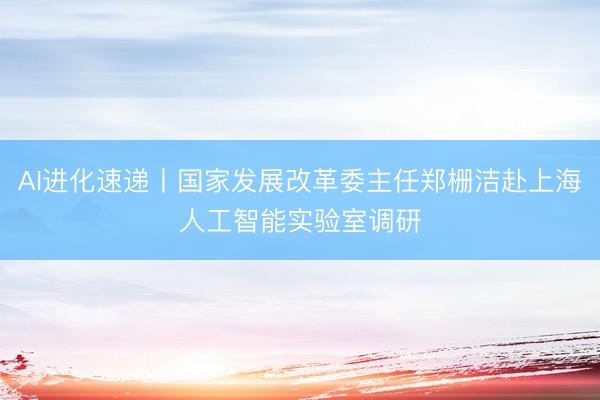 AI进化速递丨国家发展改革委主任郑栅洁赴上海人工智能实验室调研