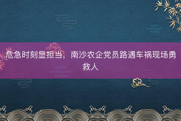 危急时刻显担当，南沙农企党员路遇车祸现场勇救人