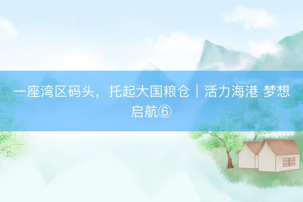 一座湾区码头，托起大国粮仓｜活力海港 梦想启航⑥