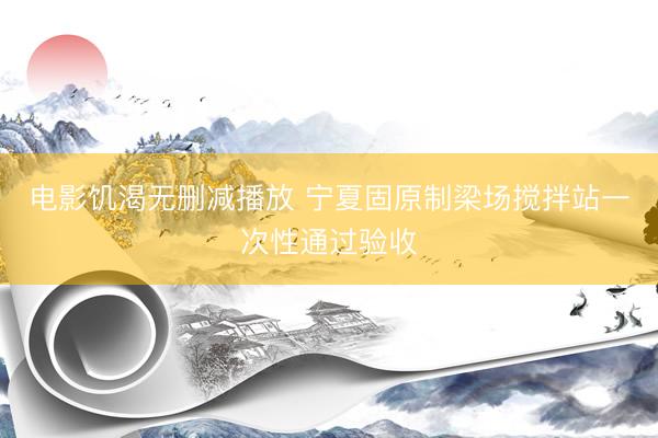 电影饥渴无删减播放 宁夏固原制梁场搅拌站一次性通过验收