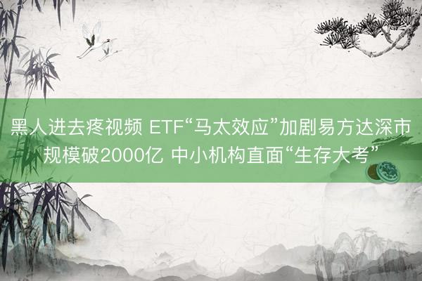 黑人进去疼视频 ETF“马太效应”加剧易方达深市规模破2000亿 中小机构直面“生存大考”