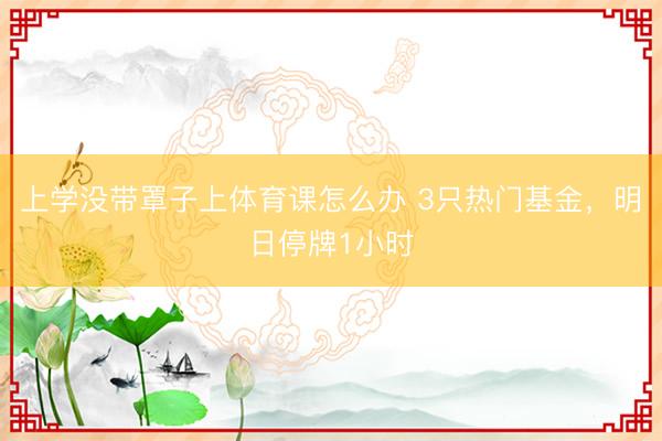 上学没带罩子上体育课怎么办 3只热门基金，明日停牌1小时