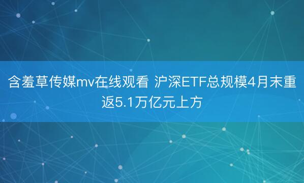 含羞草传媒mv在线观看 沪深ETF总规模4月末重返5.1万亿元上方