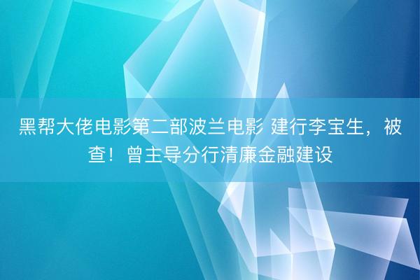 黑帮大佬电影第二部波兰电影 建行李宝生，被查！曾主导分行清廉金融建设