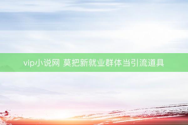 vip小说网 莫把新就业群体当引流道具