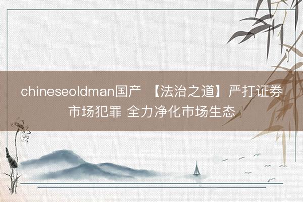 chineseoldman国产 【法治之道】严打证券市场犯罪 全力净化市场生态