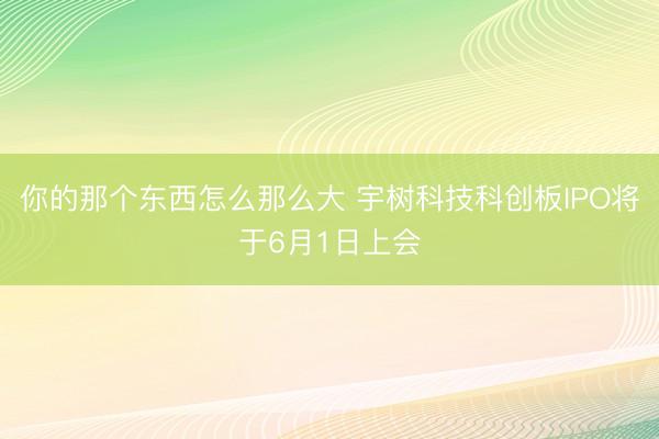 你的那个东西怎么那么大 宇树科技科创板IPO将于6月1日上会