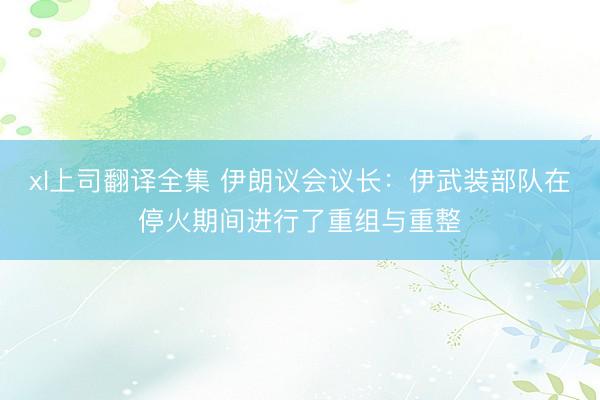 xl上司翻译全集 伊朗议会议长:伊武装部队在停火期间进行了重组与重整