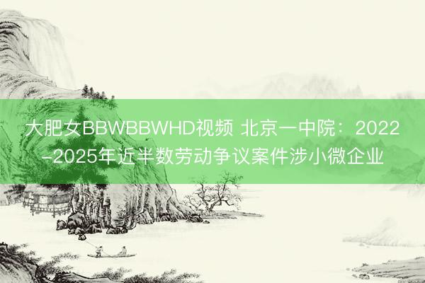 大肥女BBWBBWHD视频 北京一中院：2022-2025年近半数劳动争议案件涉小微企业