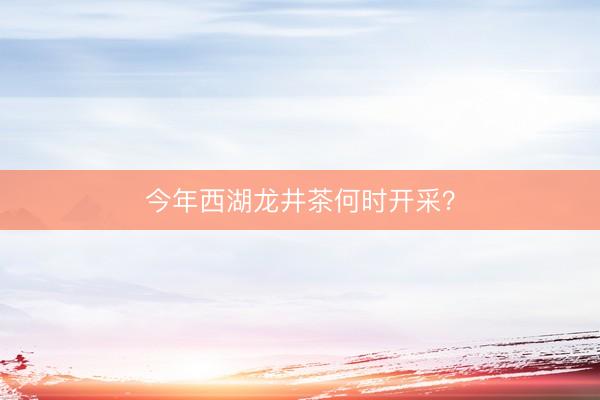 今年西湖龙井茶何时开采？