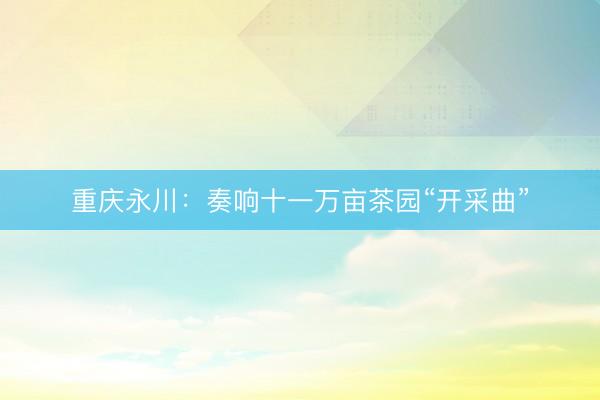 重庆永川：奏响十一万亩茶园“开采曲”