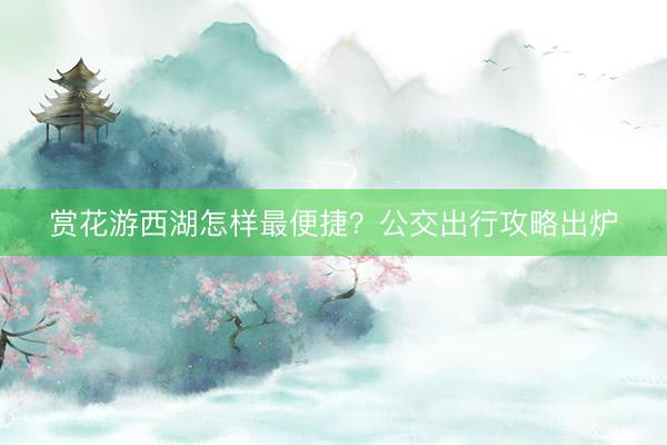 赏花游西湖怎样最便捷？公交出行攻略出炉