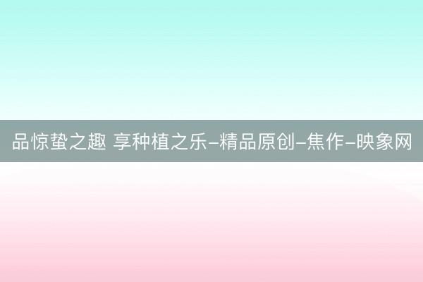 品惊蛰之趣 享种植之乐-精品原创-焦作-映象网