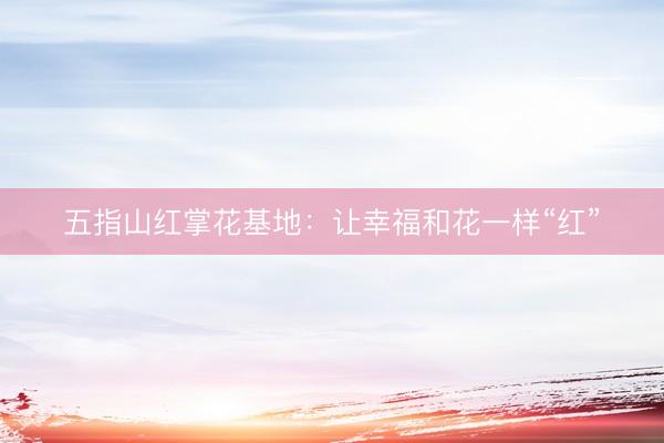 五指山红掌花基地：让幸福和花一样“红”