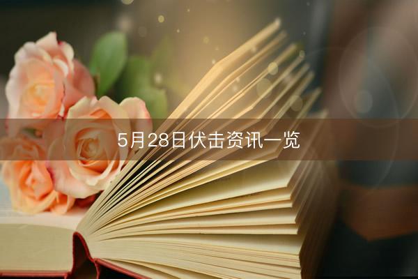 5月28日伏击资讯一览