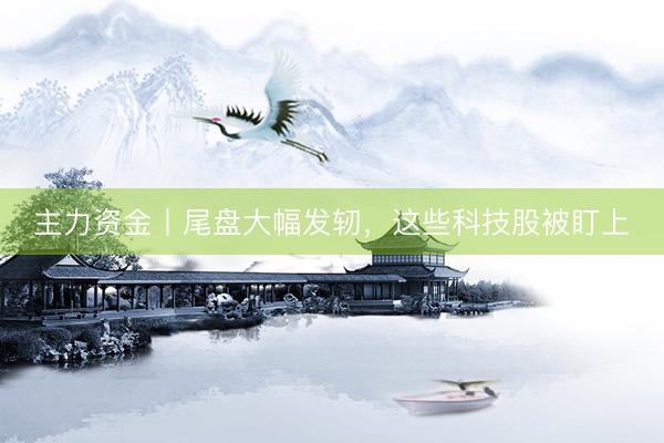 主力资金丨尾盘大幅发轫，这些科技股被盯上