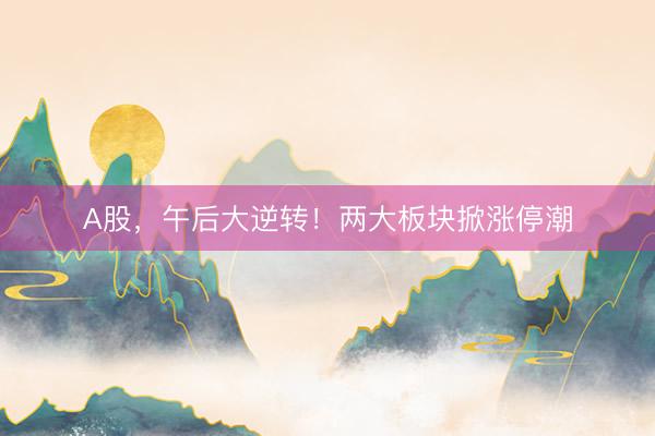 A股，午后大逆转！两大板块掀涨停潮