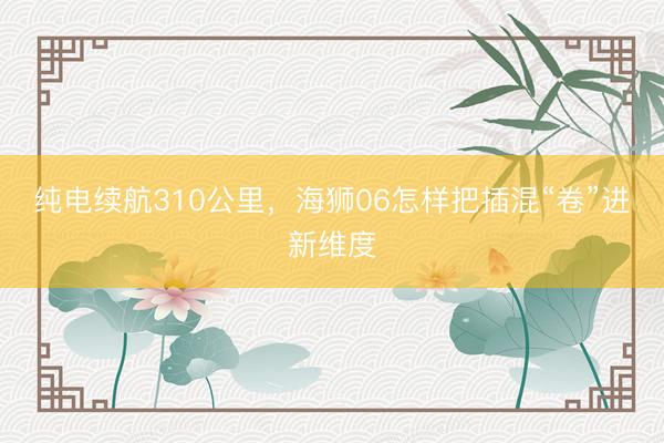 纯电续航310公里，海狮06怎样把插混“卷”进新维度