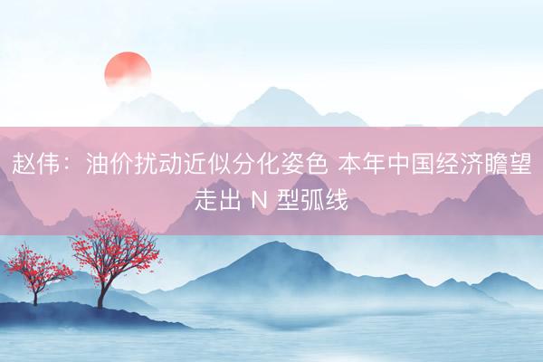 赵伟：油价扰动近似分化姿色 本年中国经济瞻望走出 N 型弧线