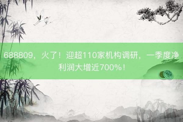 688809，火了！迎超110家机构调研，一季度净利润大增近700%！