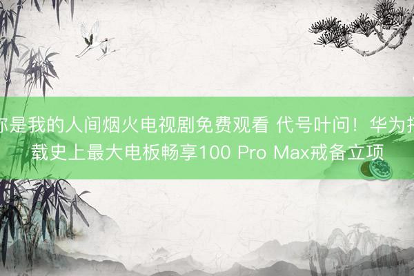 你是我的人间烟火电视剧免费观看 代号叶问！华为搭载史上最大电板畅享100 Pro Max戒备立项