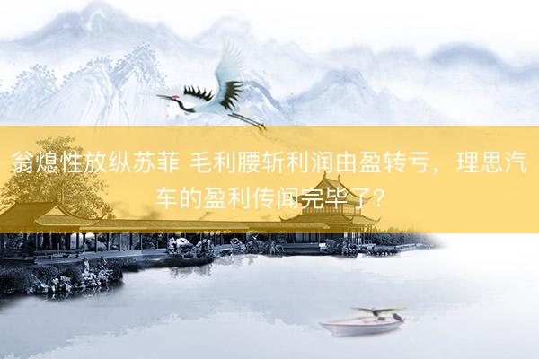 翁熄性放纵苏菲 毛利腰斩利润由盈转亏，理思汽车的盈利传闻完毕了？