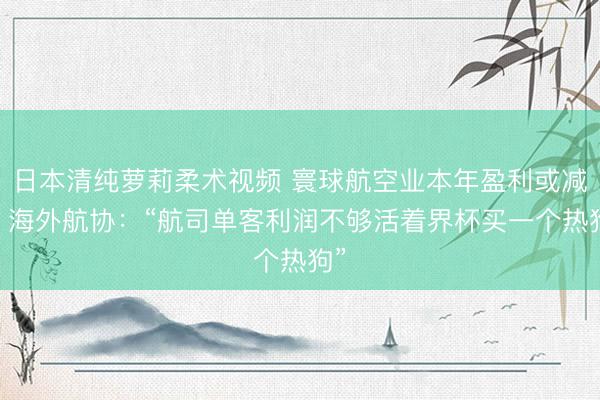日本清纯萝莉柔术视频 寰球航空业本年盈利或减半 海外航协：“航司单客利润不够活着界杯买一个热狗”