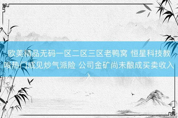 欧美精品无码一区二区三区老鸭窝 恒星科技教唆热门成见炒气派险 公司金矿尚未酿成买卖收入
