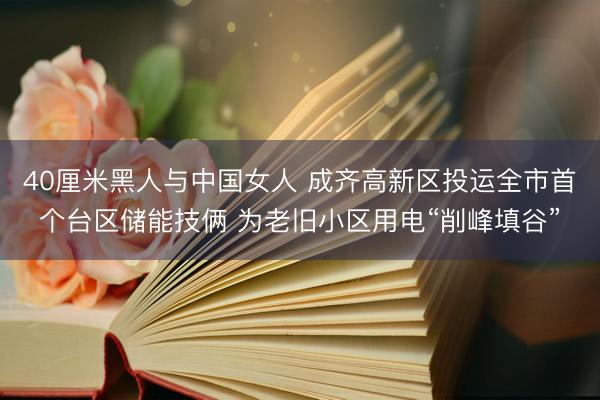 40厘米黑人与中国女人 成齐高新区投运全市首个台区储能技俩 为老旧小区用电“削峰填谷”
