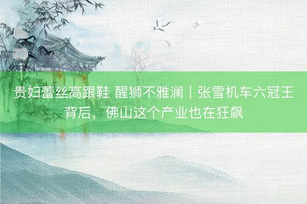贵妇蕾丝高跟鞋 醒狮不雅澜|张雪机车六冠王背后,佛山这个产业也在狂飙
