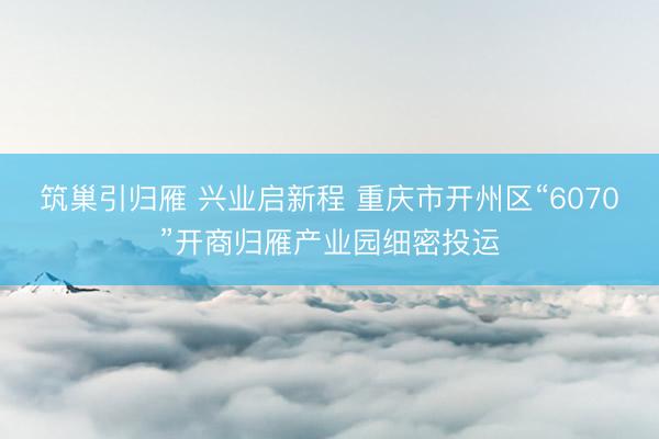 筑巢引归雁 兴业启新程 重庆市开州区“6070”开商归雁产业园细密投运