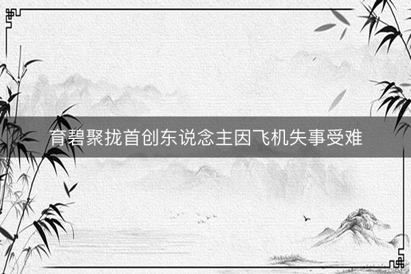 育碧聚拢首创东说念主因飞机失事受难