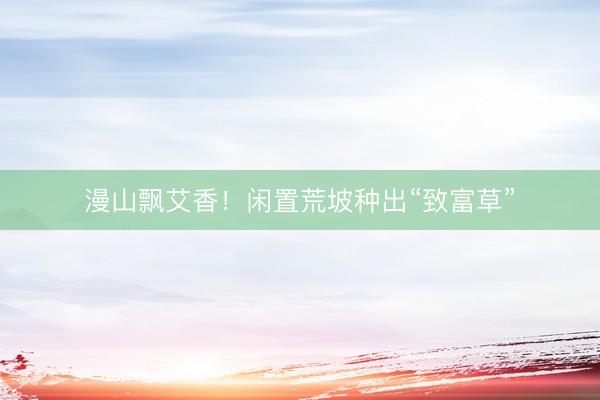 漫山飘艾香！闲置荒坡种出“致富草”