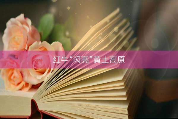 红牛“闪亮”黄土高原
